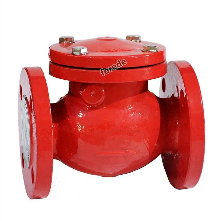 Ductile Iron Flange End Swing Check Valve