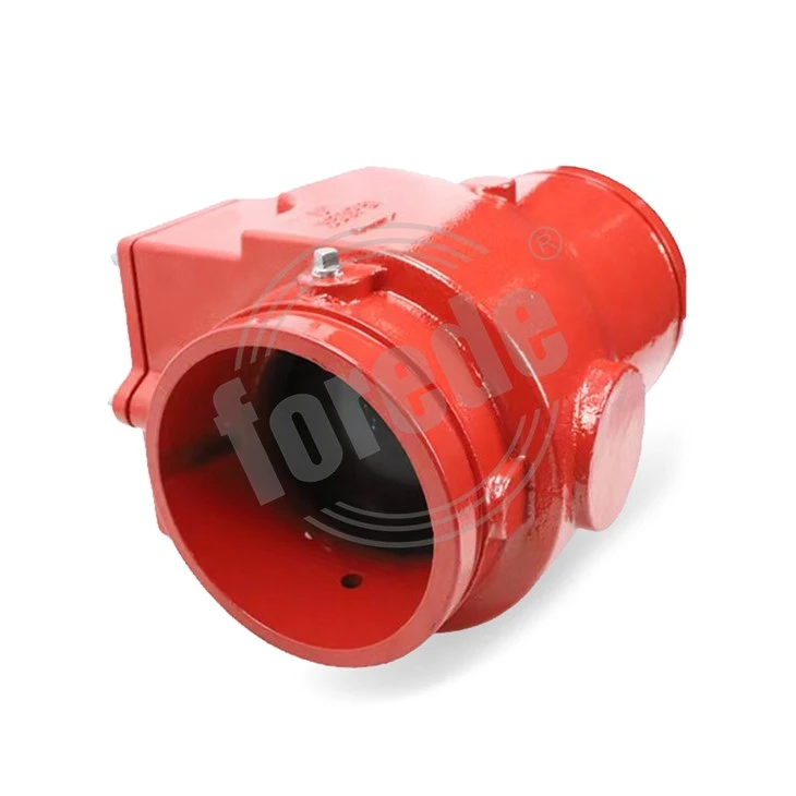 Grooved Ductile Iron Swing Check Valve